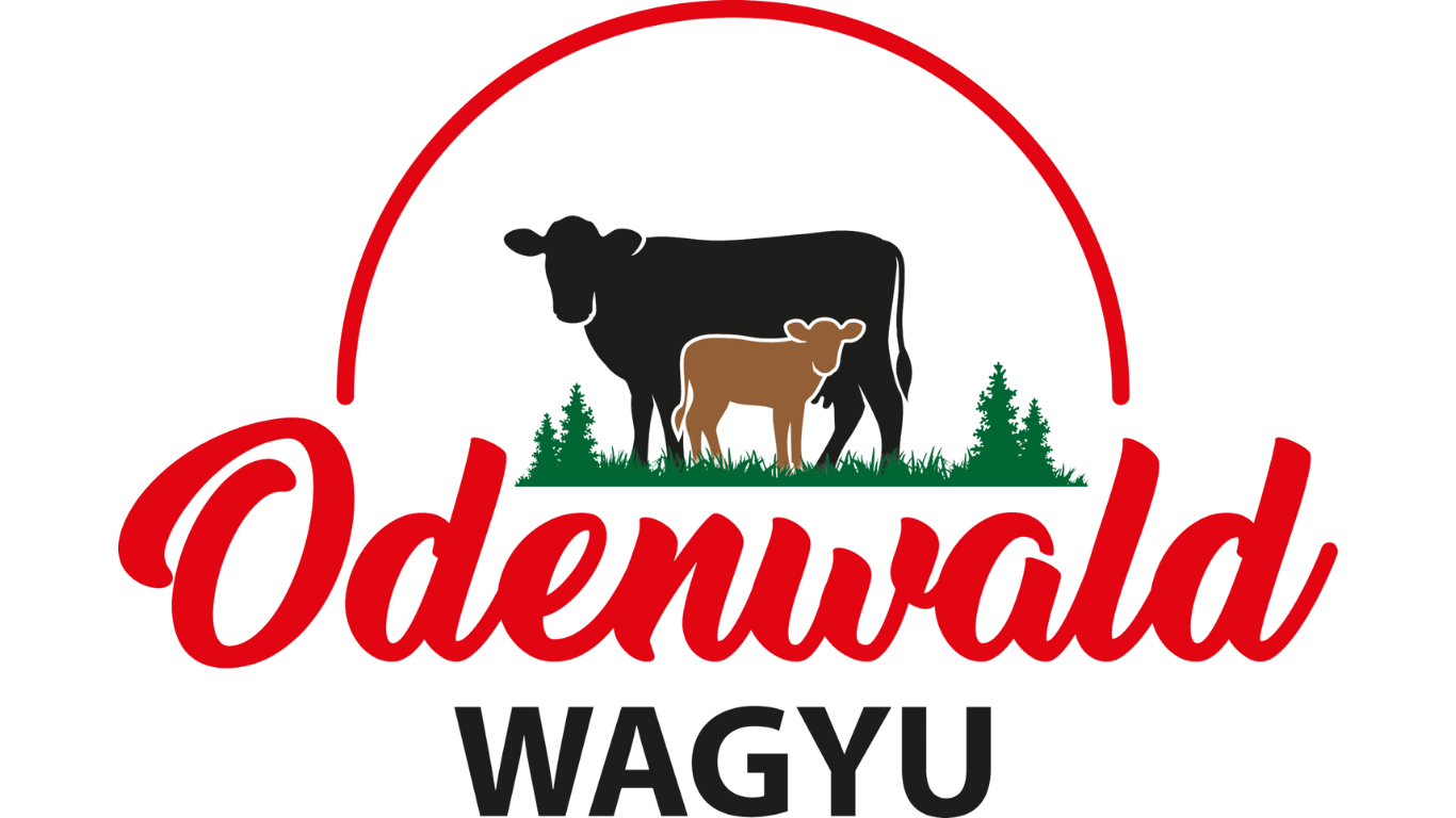 Logo Transparent ODW-Wagyu